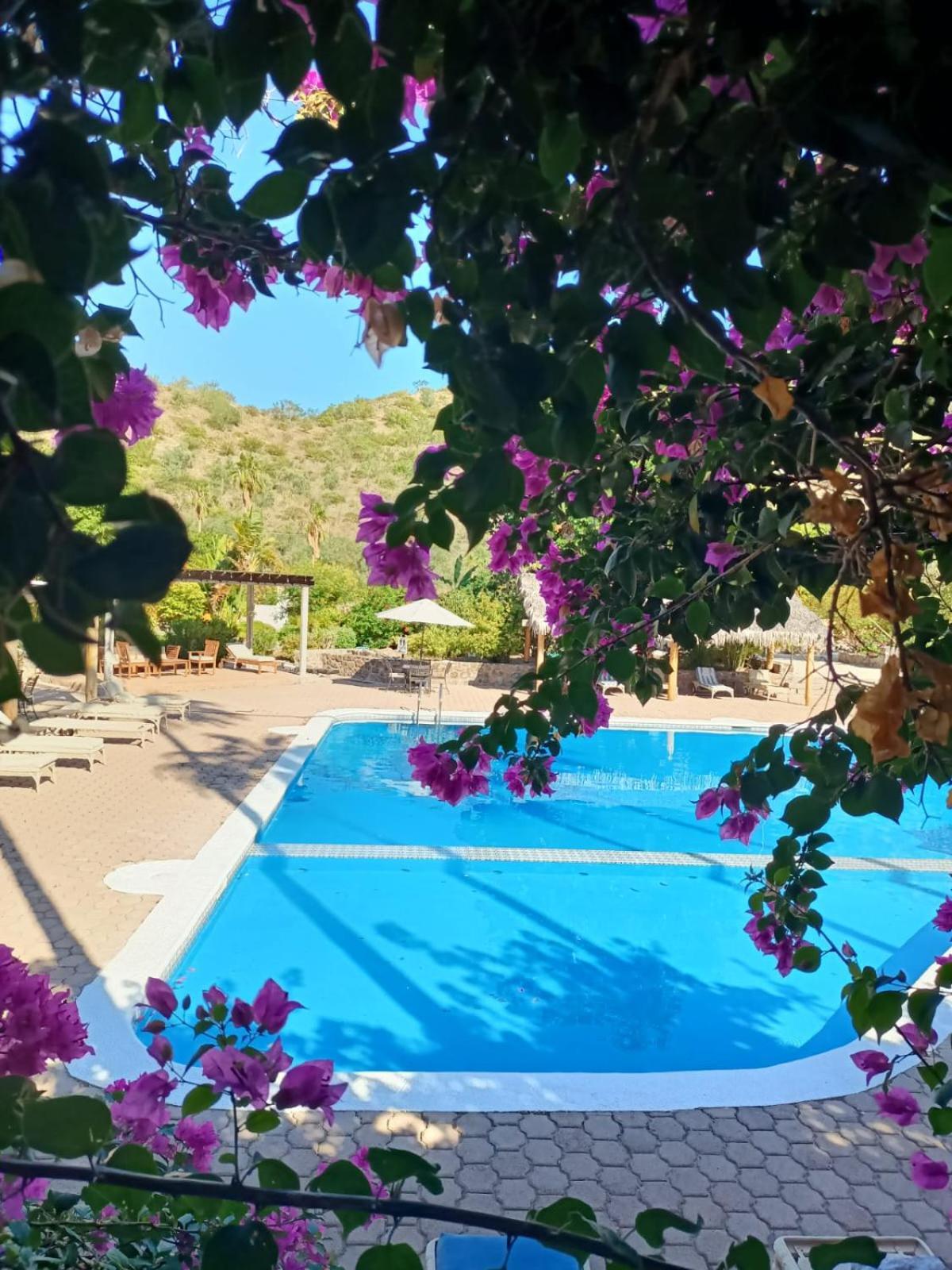 Tripui Hotel Puerto Escondido  Εξωτερικό φωτογραφία